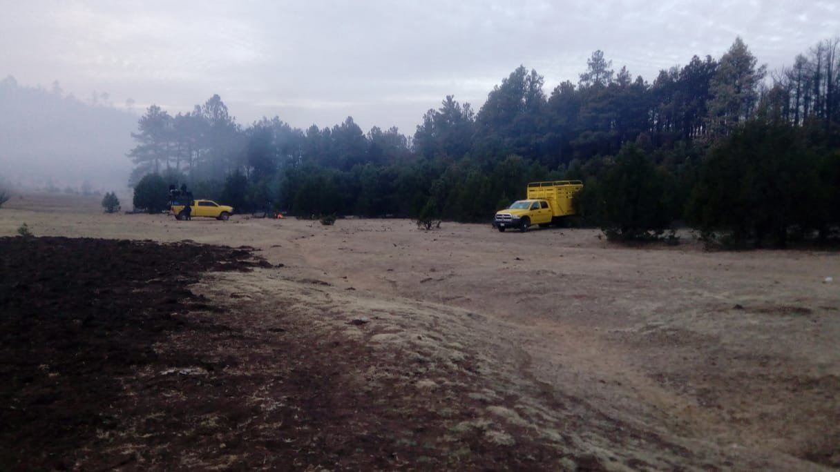 BRIGADISTAS INCENDIOS CHIHUAHUA (2)