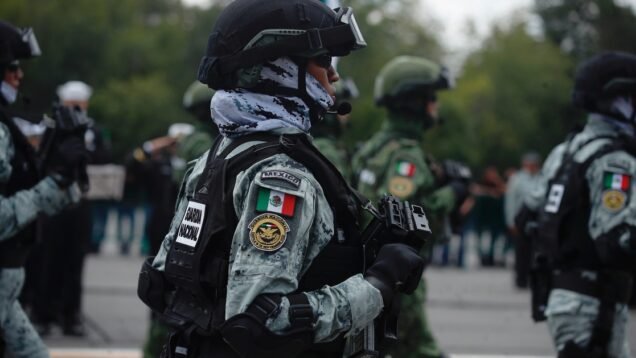 image_large – 2022-09-08T095217.412