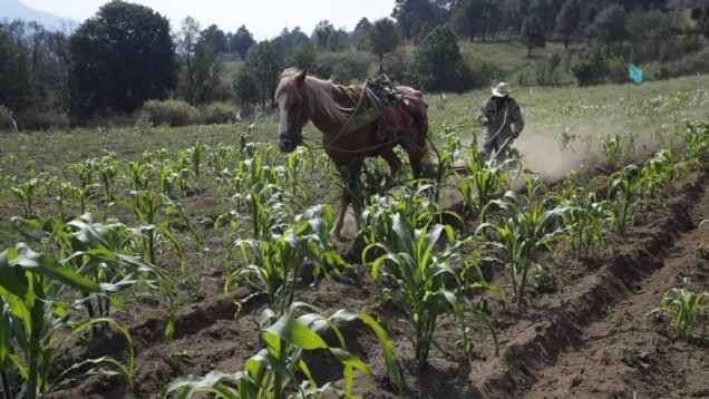 image_large – 2022-09-12T100354.441