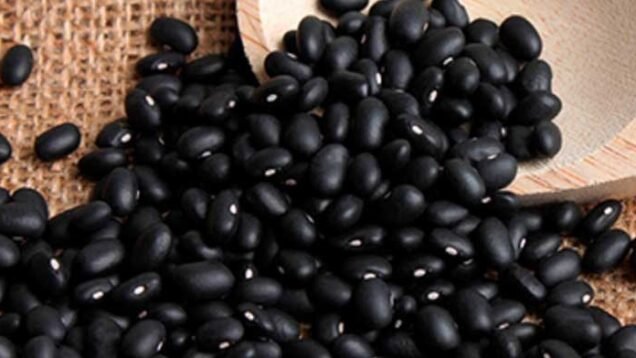 image_large – 2022-09-19T150703.893