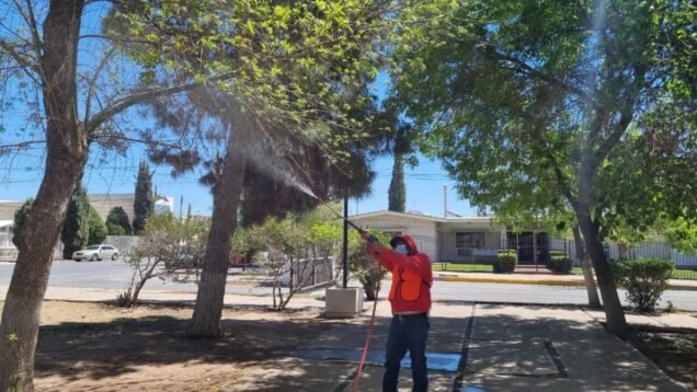 2CD03BB2-BAE0-4BF6-B9CE-C0C70846244A