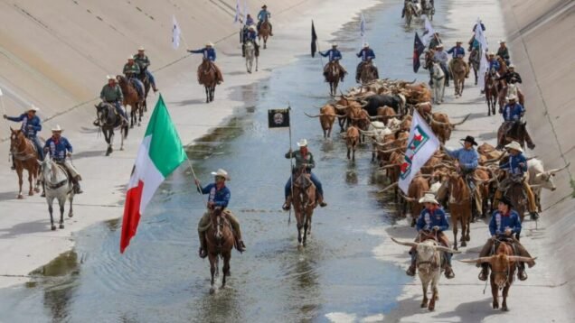 Estampida-Longhorn-chihuahua-1024×624 (1)