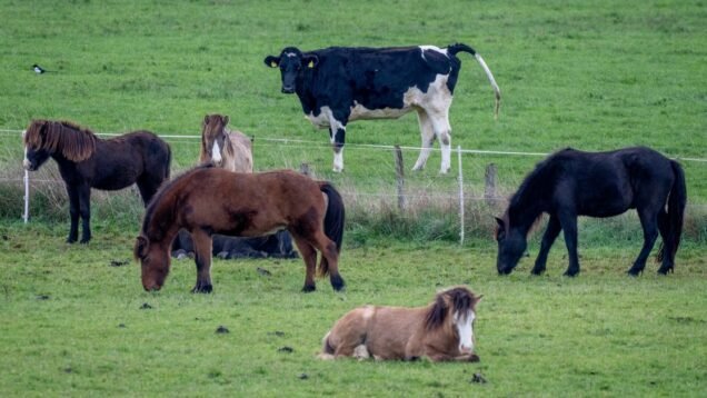 image_large – 2022-11-07T075819.464