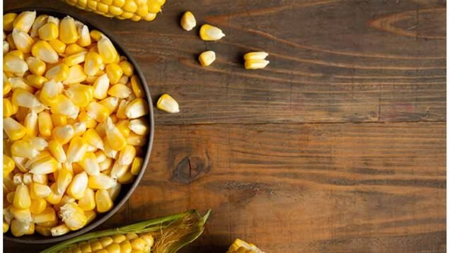 presidente-de-mexico