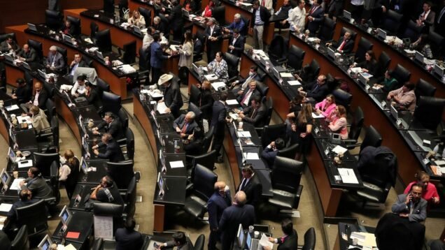 image_large – 2022-12-15T092335.983