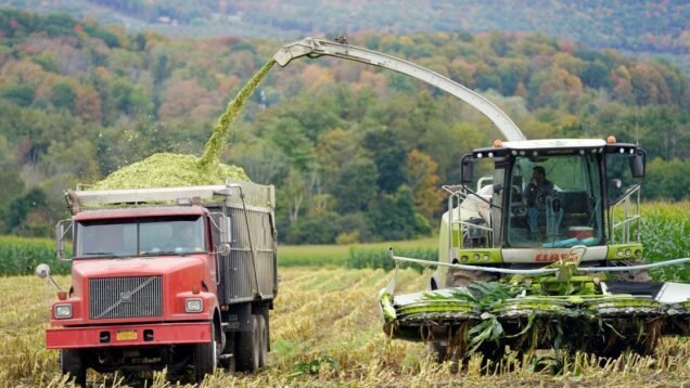 image_large – 2022-12-27T130859.665