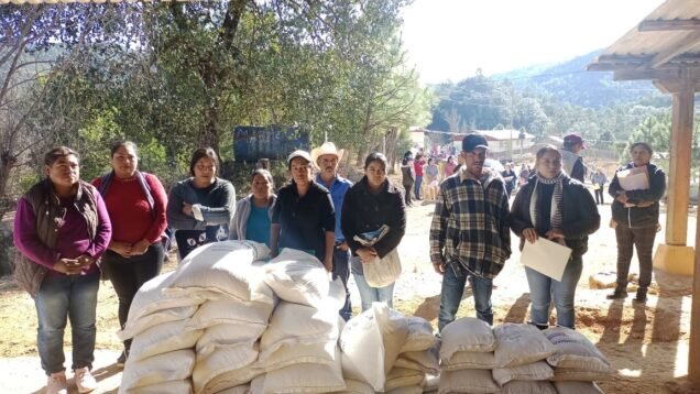 WhatsApp Image 2023-01-02 at 08.42.36