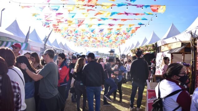 WhatsApp Image 2023-01-03 at 11.28.15