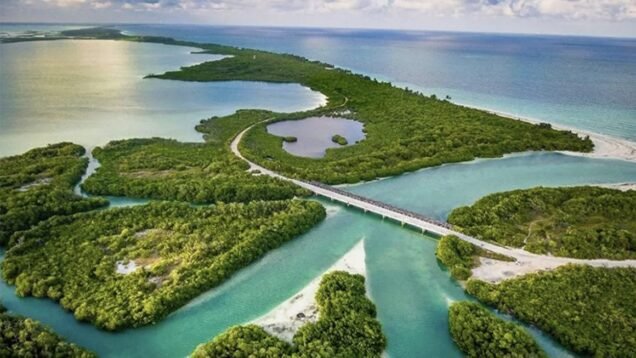 area-1160×700-1-1160×700