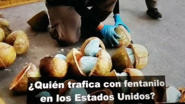 El senador Graham entre la ignorancia, la hipocresía y sus falacias sobre México, entérese y sabrá