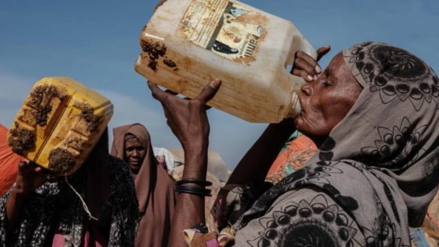 image_large – 2023-04-27T194506.177