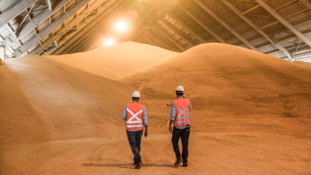 6460d07ee9ff717f9c24a969