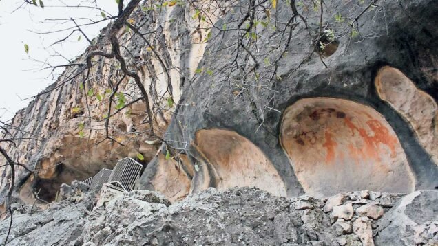 20220629121346881-1-1945925