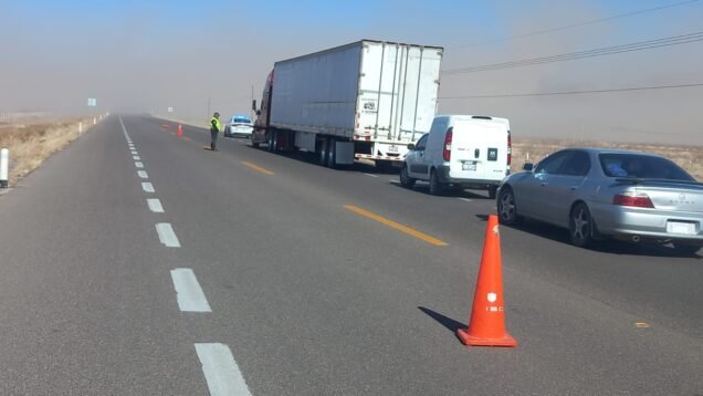 WhatsApp Image 2024-01-12 at 06.31.03