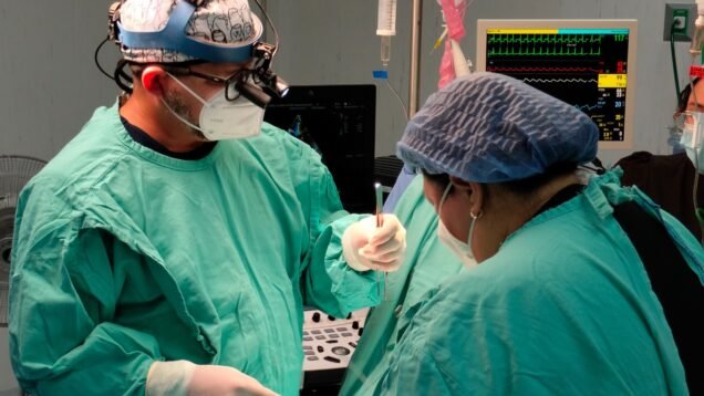 ad1a3778-3602-4762-b067-af83801843a5