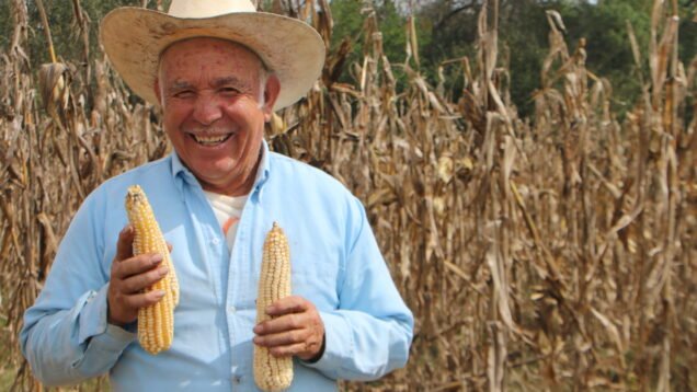 Produccion-para-el-Bienestar-beneficiario