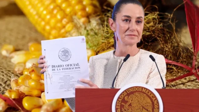 BKLYLK4GIBBV3HF252JU3VB5QY-e1734975069715