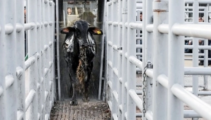 decision-injusta-de-eu-cerrar-su-frontera-a-mexico-por-crisis-de-gusano-barrenador-sheinbaum_59b3de7e-921e-4886-a898-fe1cb745237d_medialjnimgndimage=fullsize