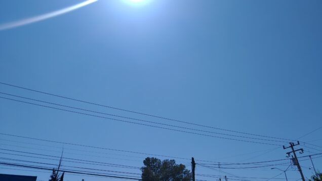 WhatsApp Image 2025-06-17 at 10.49.18 AM