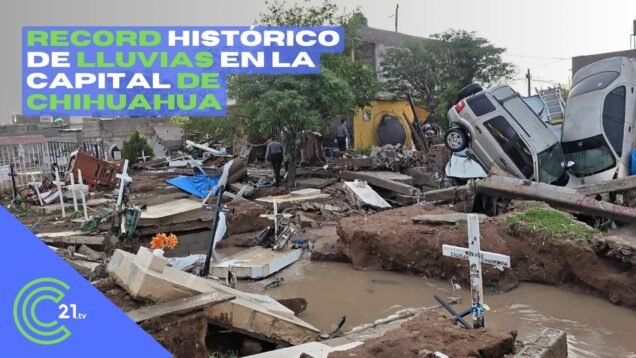 WhatsApp Image 2025-07-01 at 4.01.31 PM