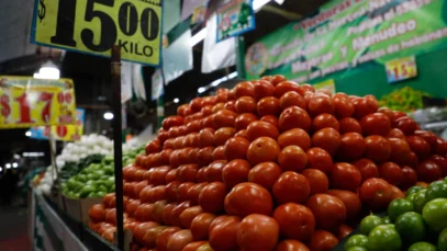 exportacion-de-jitomate-a-eu-cayo-12-este-ano_d400b25a-5014-4429-ac53-91c0b21e38ca_medialjnimgndimage=fullsize