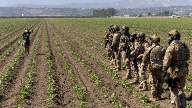 injustas-redadas-en-eu-sheinbaum-anuncia-mas-recursos-para-consulados_7157afe1-2a41-4c19-a875-6567f0df0042_medialjnimgndimage=fullsize