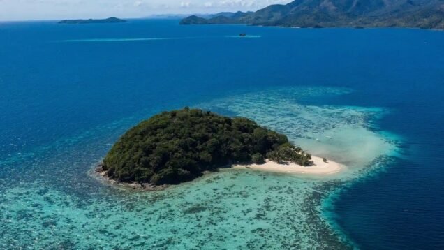 68961e3659bf5b3ccb255cc4