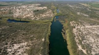 18786136486938707508908