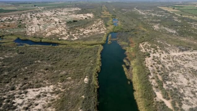 18786136486938707508908