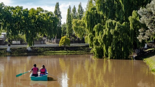 WhatsApp Image 2026-01-27 at 12.42.56 PM