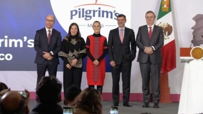 large_inversion_pollo_sheinbaum_4e0818a345