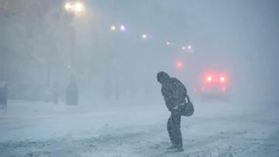 tormenta-de-nieve-paraliza-nueva-york-y-la-costa-este-de-eu_90108ebf-7a6d-4f67-8d56-89dfaf804e79_media